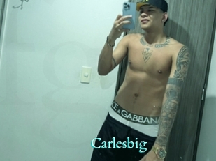 carlesbig Free Gay Porn Finder