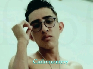 carlomontery Free Gay Porn Finder