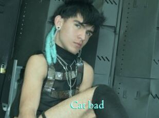 Cat_bad