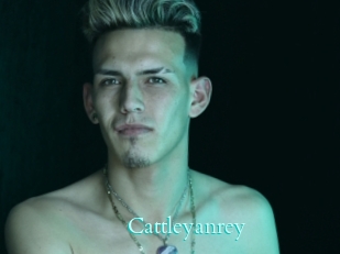 cattleyanrey Free Gay Porn Finder