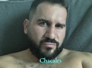 Chacales