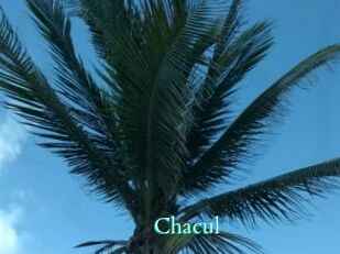 Chacul