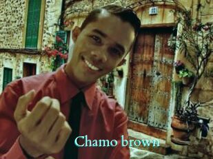 Chamo_brown