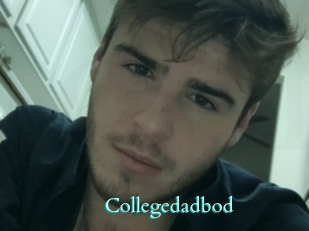 Collegedadbod