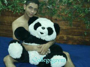 Collegegaym
