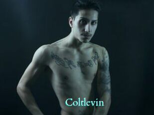 Coltlevin