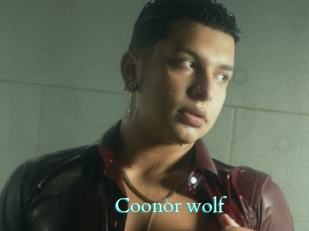 Coonor_wolf
