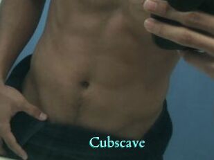 Cubscave