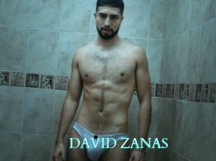 DAVID_ZANAS