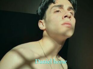 Daniel_horse