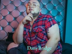 DanyBridge