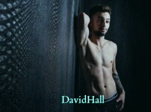DavidHall