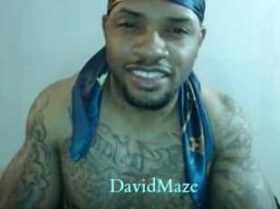 David_Maze