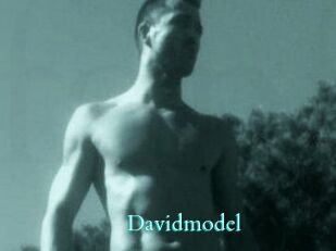 Davidmodel