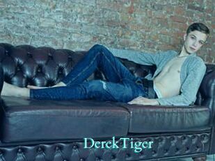 DerekTiger