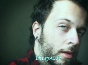DingoCub