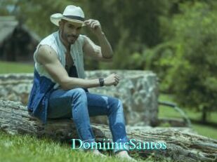 DomiinicSantos