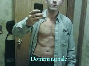 Dominantmale