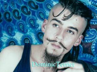 DominicTerrier