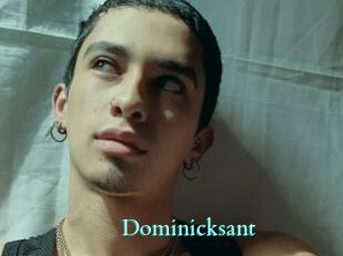 Dominicksant