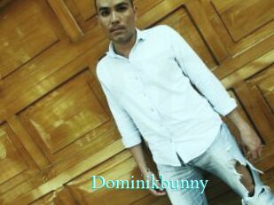 Dominikbunny