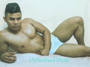 DylanStud19cm