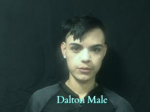 Dalton_Male