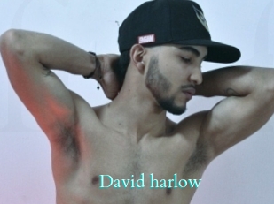 David_harlow