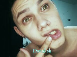 David_sk