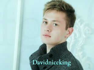 Davidniceking