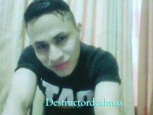Destructordealmas