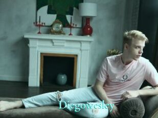 Diegowesley