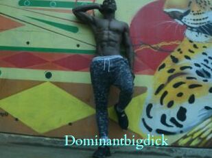 Dominantbigdick
