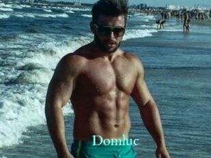 Domluc