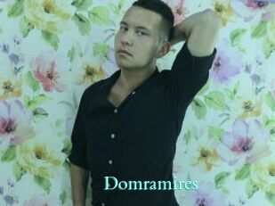 Domramires