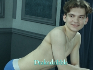 Drakedribble