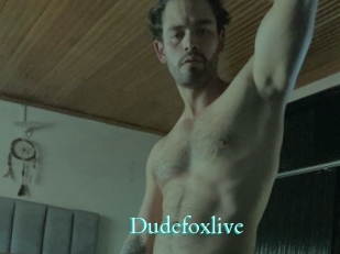dudefoxlive Free Gay Porn Finder