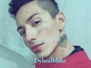 Dylandblake