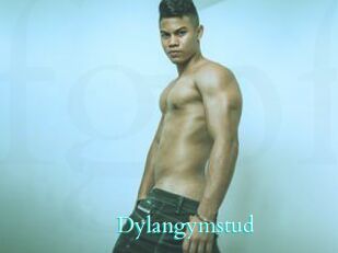 Dylangymstud