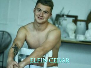 ELFIN_CEDAR