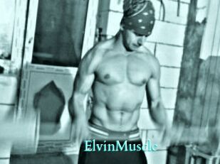ElvinMuscle Free Gay Porn Finder