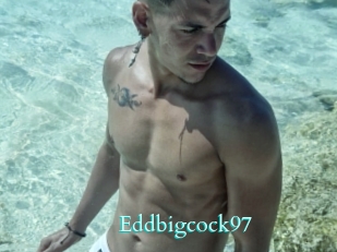 Eddbigcock97