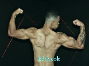 Eddycolt