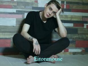 Eitonmouse