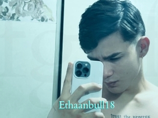 Ethaanbull18