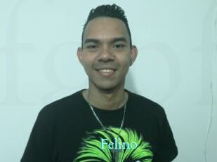 Felino Free Gay Porn Finder