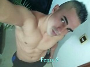 Fenix_S