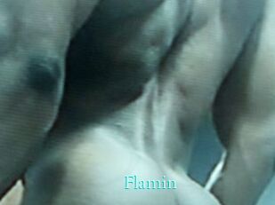 Flamin