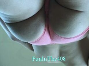 FunInThe408