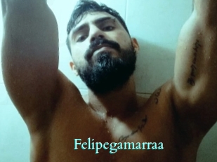 Felipegamarraa